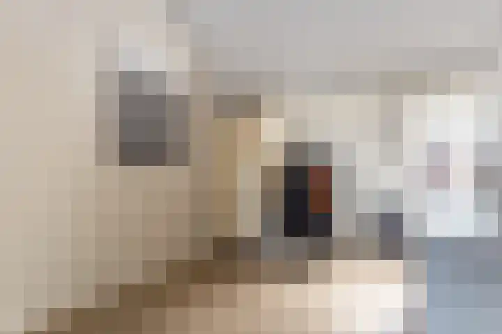 Kleine Oosterwijck 2 Harderwijk thumbnail 27