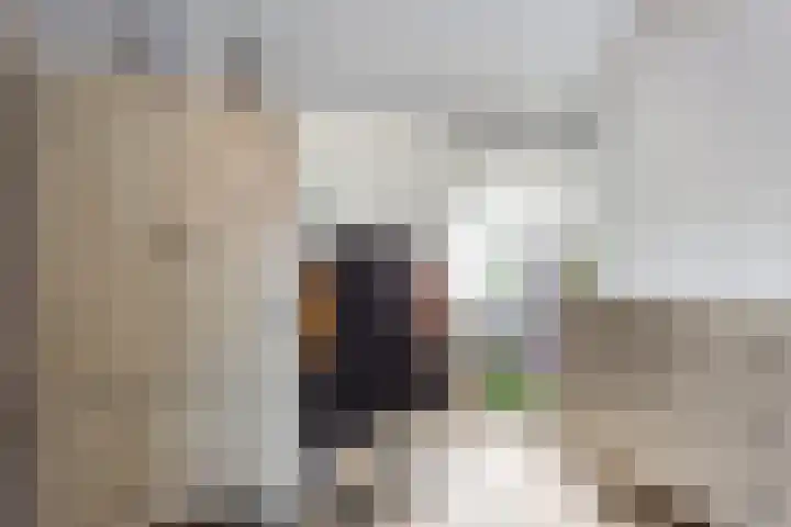 Kleine Oosterwijck 2 Harderwijk thumbnail 28