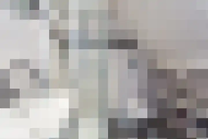 Kleine Oosterwijck 2 Harderwijk thumbnail 32