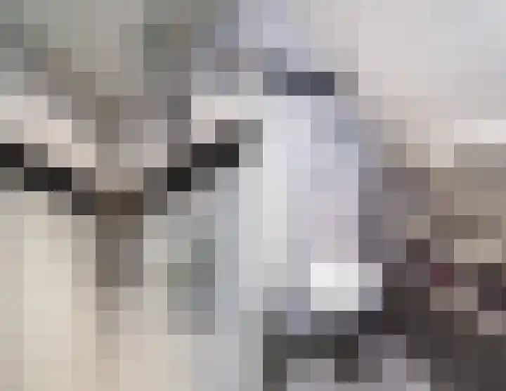 Kleine Oosterwijck 2 Harderwijk thumbnail 33