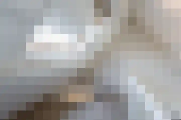 Kleine Oosterwijck 2 Harderwijk thumbnail 36
