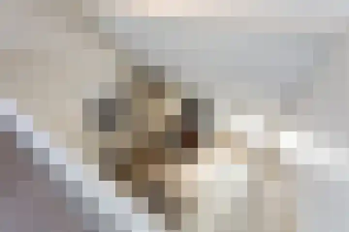 Kleine Oosterwijck 2 Harderwijk thumbnail 37