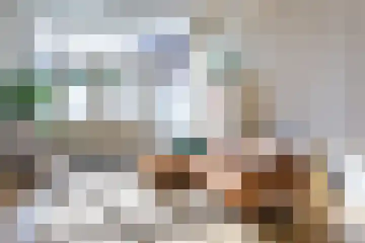Kleine Oosterwijck 2 Harderwijk thumbnail 7