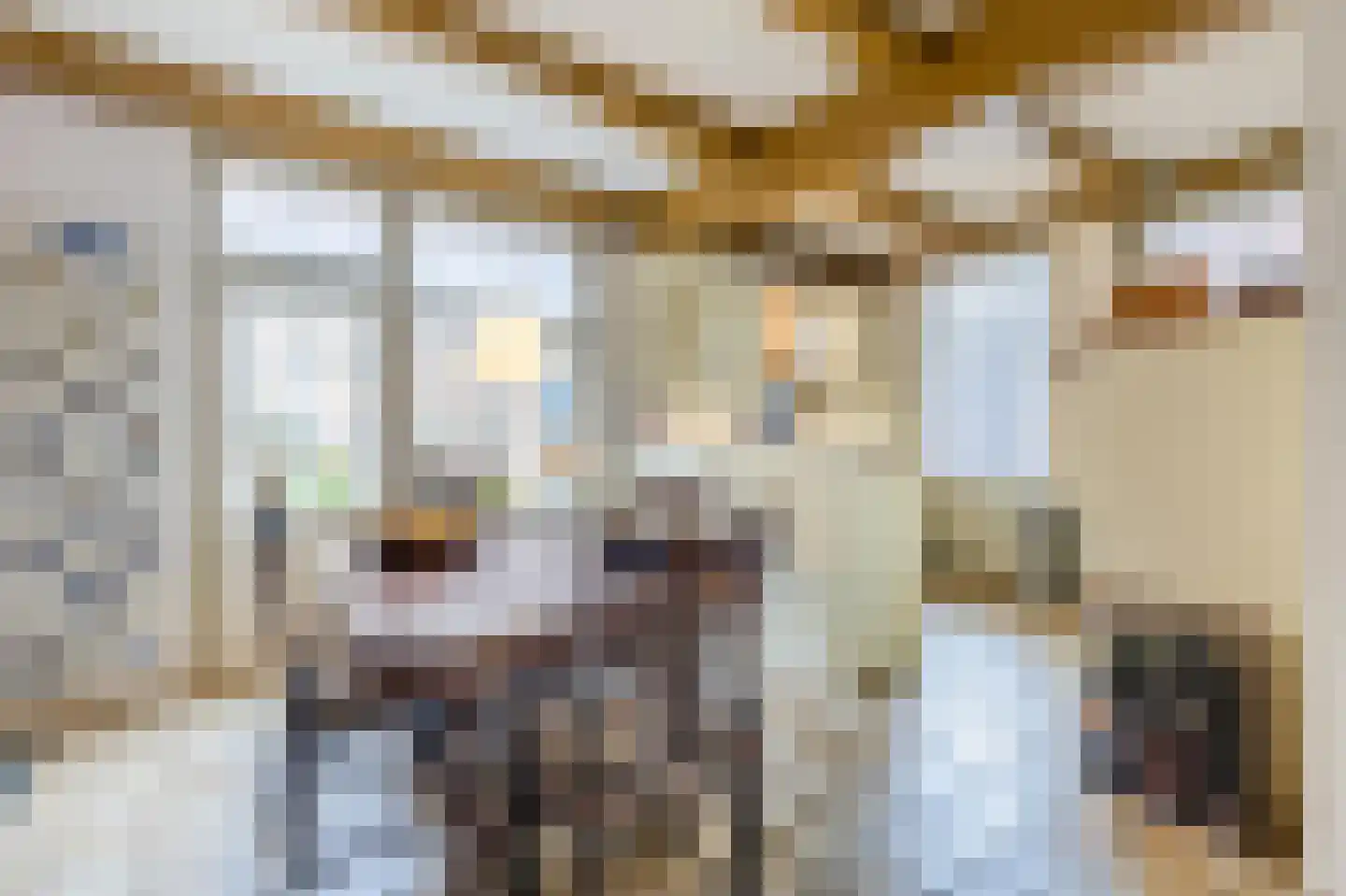 Kleine Ossenmarkt 4 Harlingen thumbnail 16