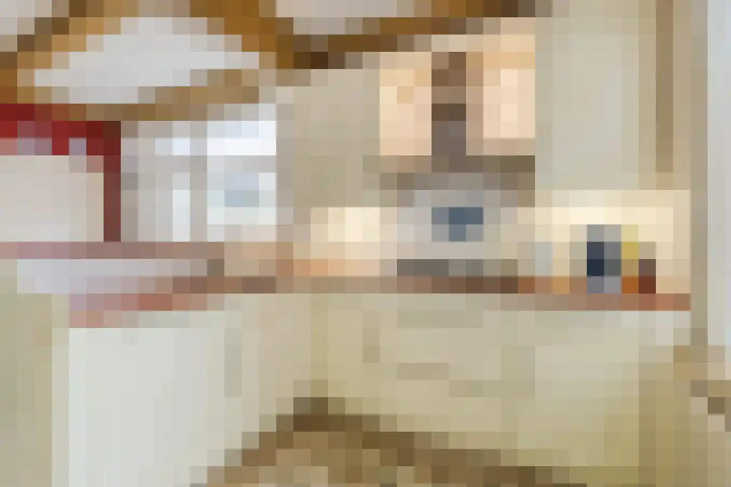 Kleine Ossenmarkt 4 Harlingen thumbnail 17