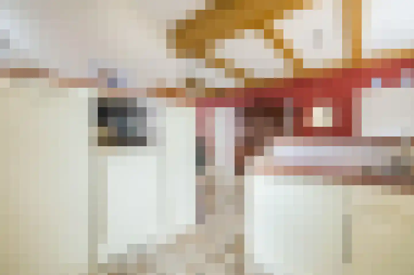 Kleine Ossenmarkt 4 Harlingen thumbnail 18