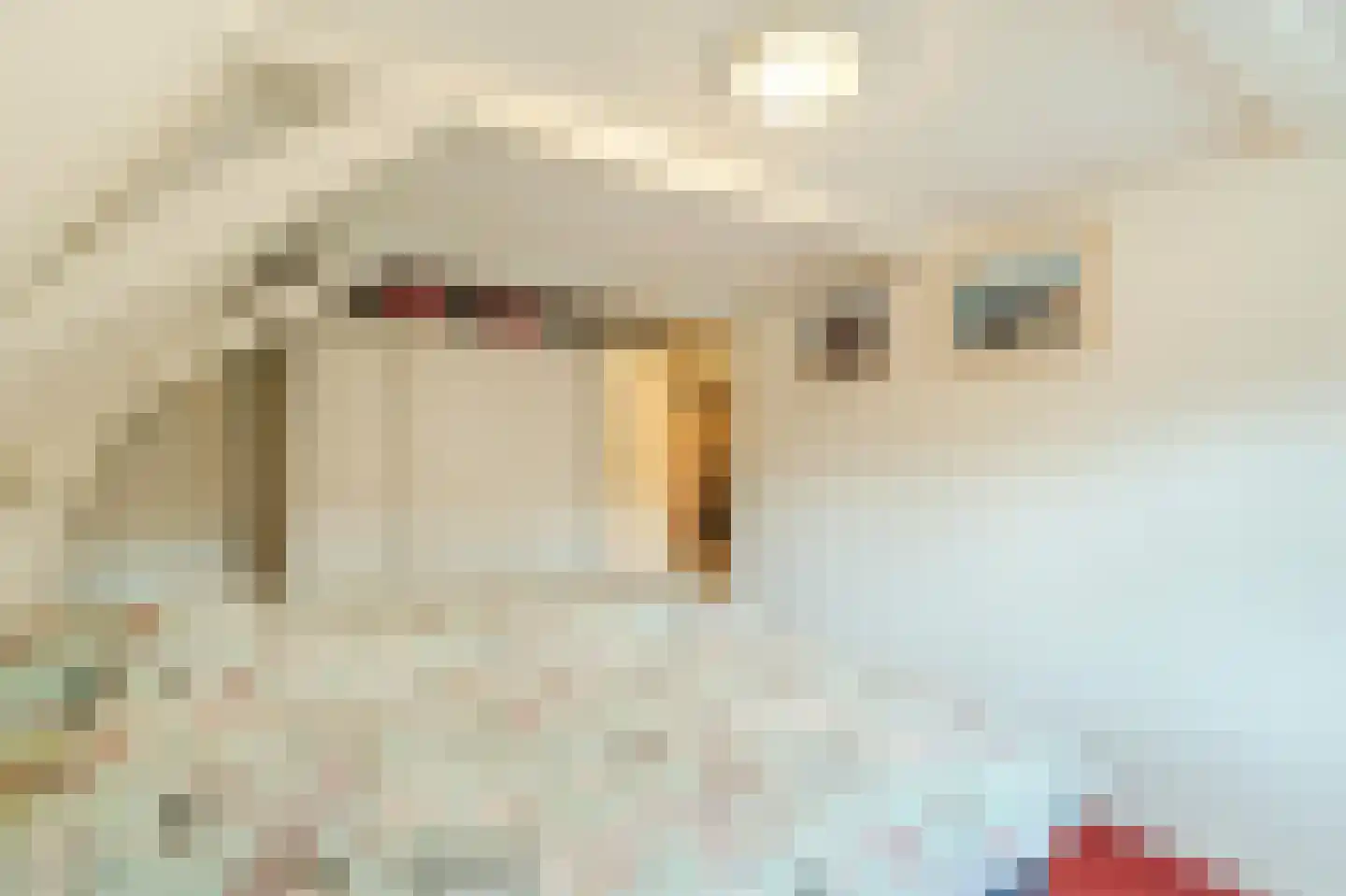 Kleine Ossenmarkt 4 Harlingen thumbnail 24