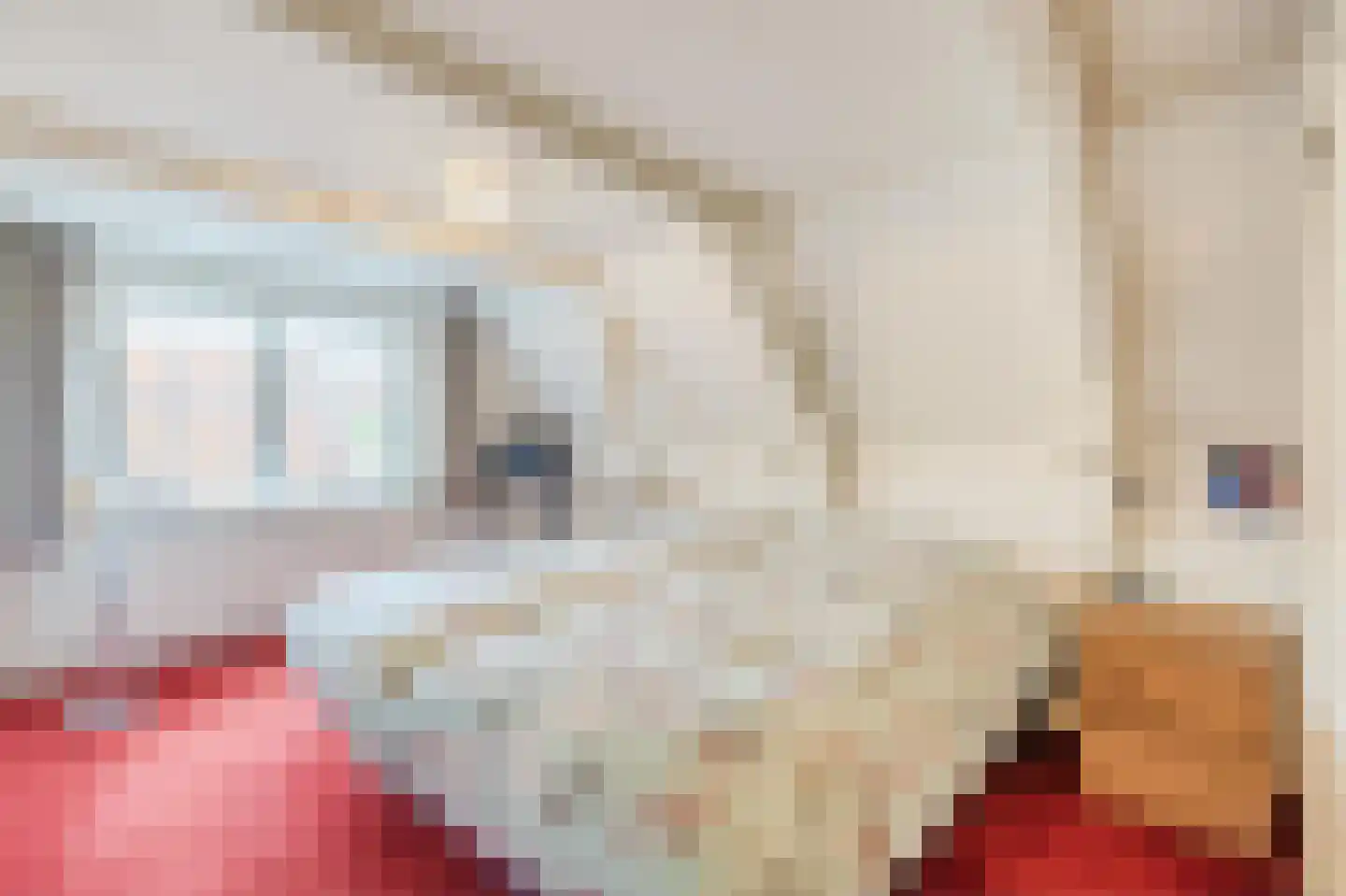 Kleine Ossenmarkt 4 Harlingen thumbnail 25