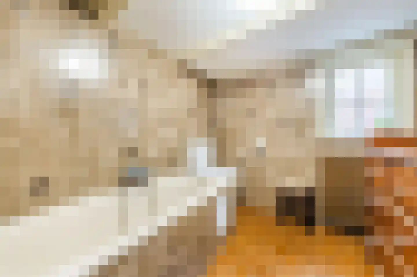 Kleine Ossenmarkt 4 Harlingen thumbnail 26