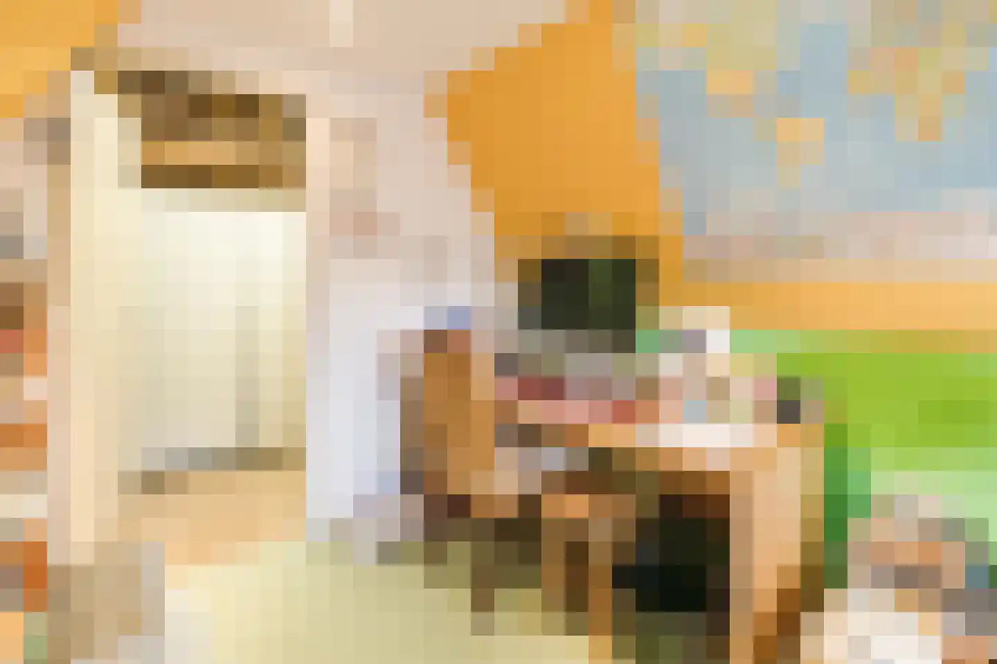 Kleine Ossenmarkt 4 Harlingen thumbnail 30
