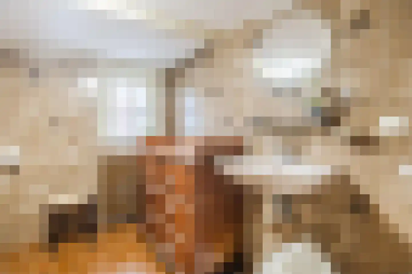 Kleine Ossenmarkt 4 Harlingen thumbnail 32