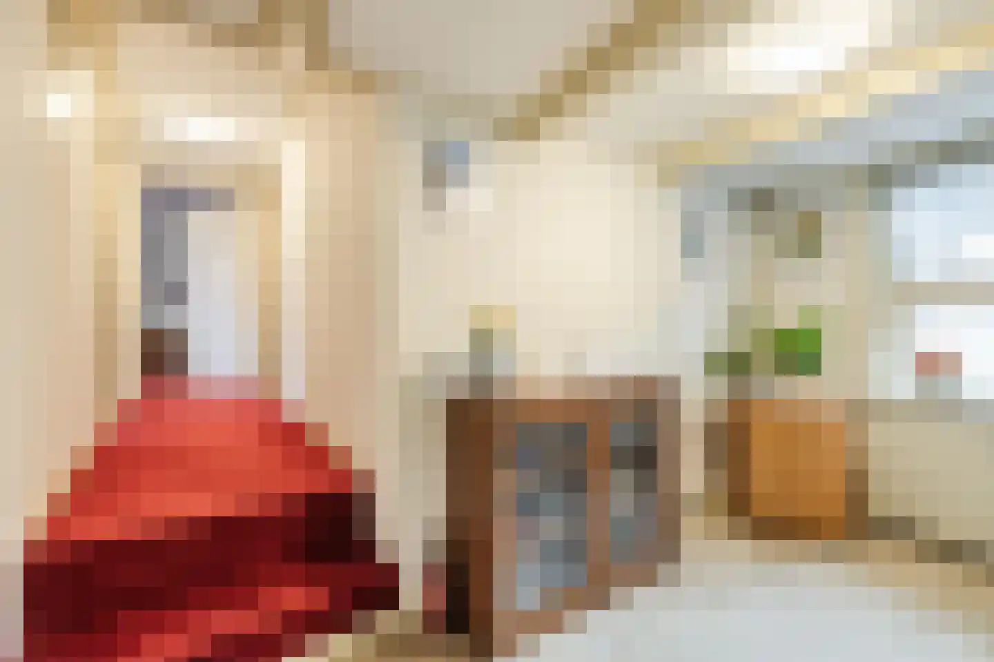Kleine Ossenmarkt 4 Harlingen thumbnail 33
