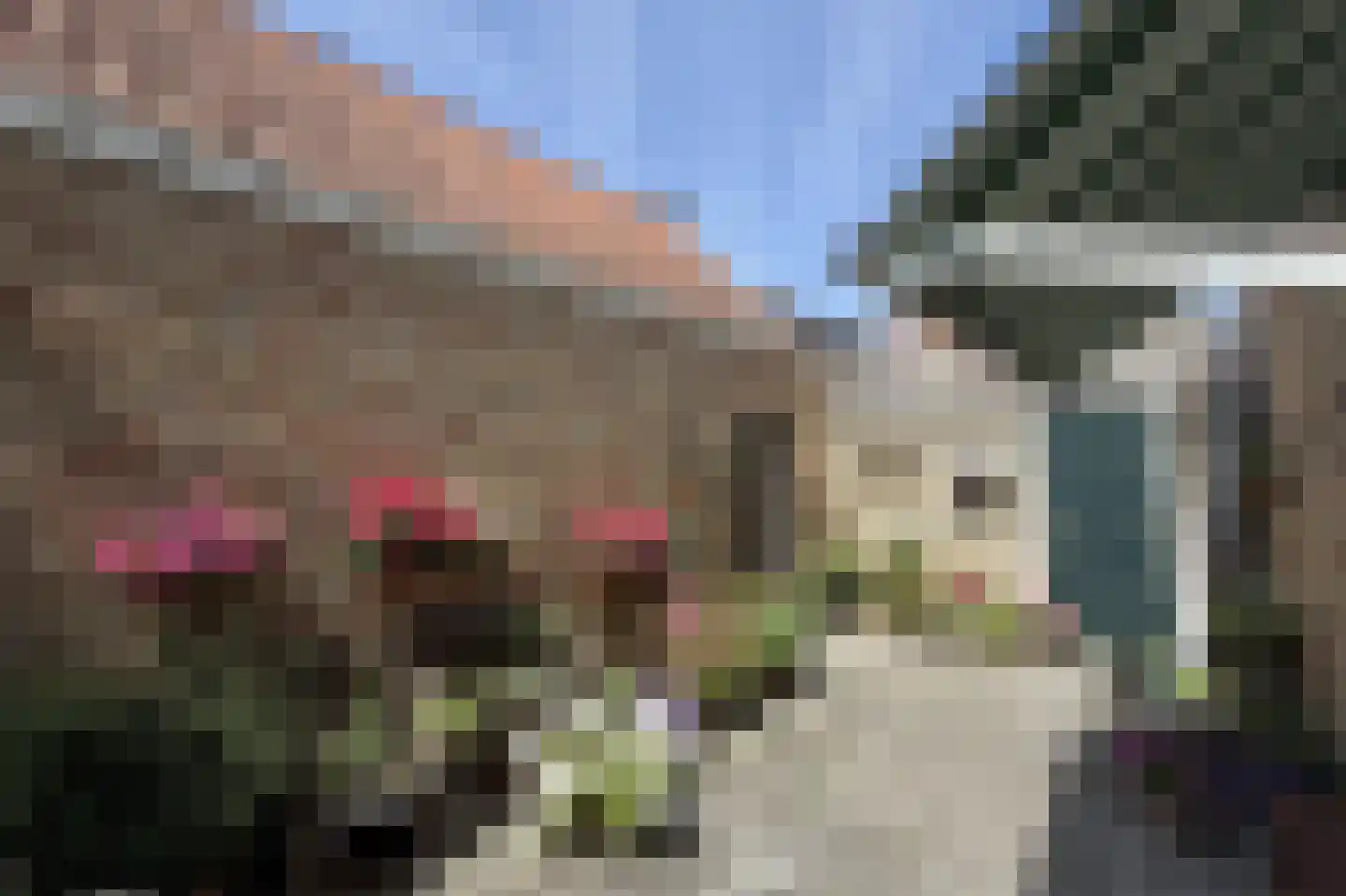 Kleine Ossenmarkt 4 Harlingen thumbnail 34