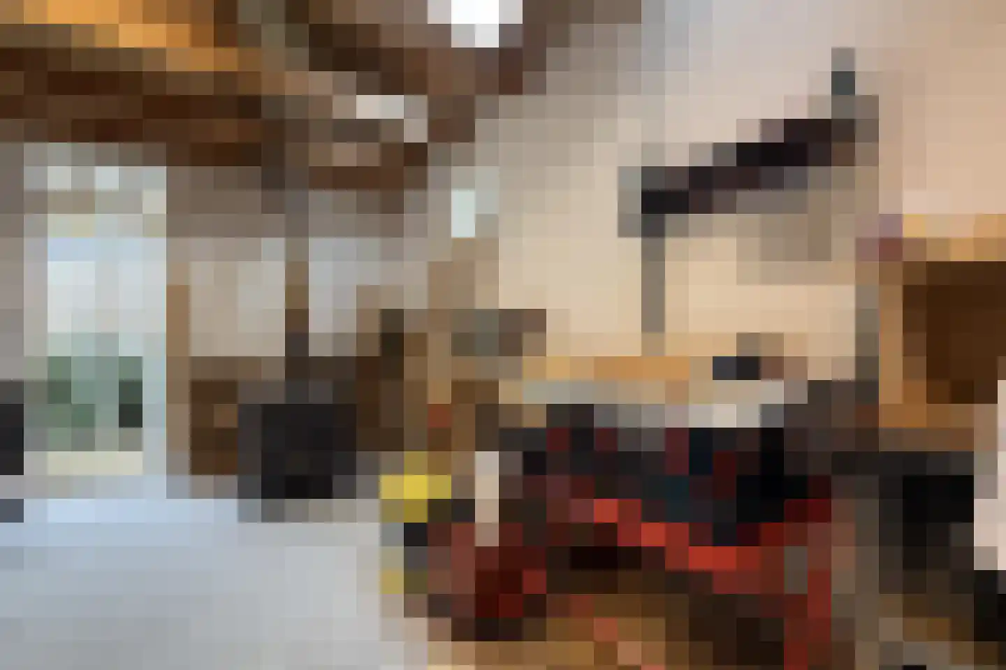 Kleine Ossenmarkt 4 Harlingen thumbnail 39
