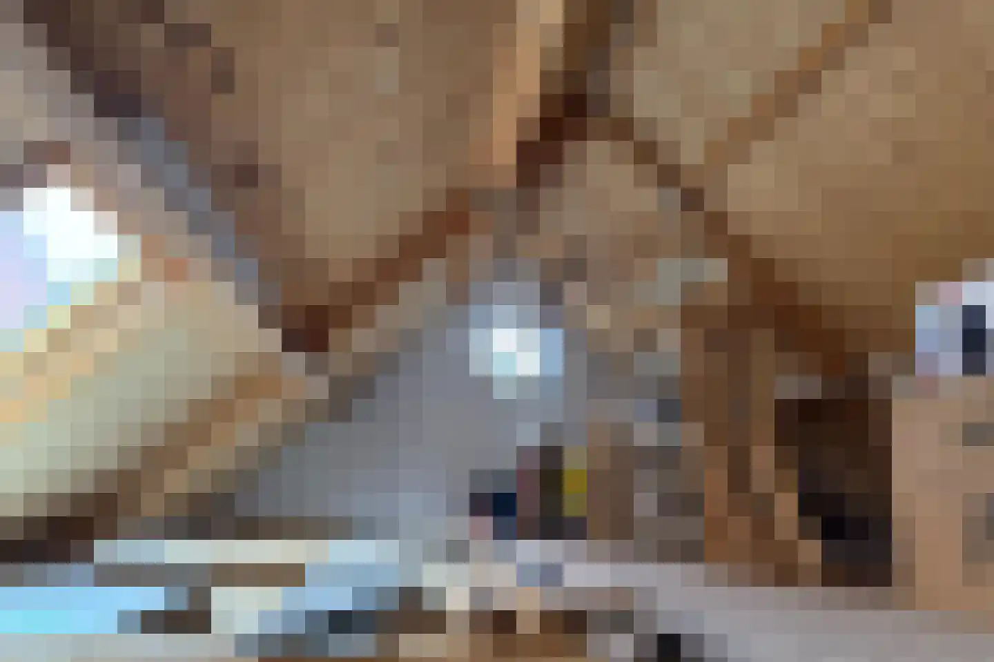 Kleine Ossenmarkt 4 Harlingen thumbnail 40