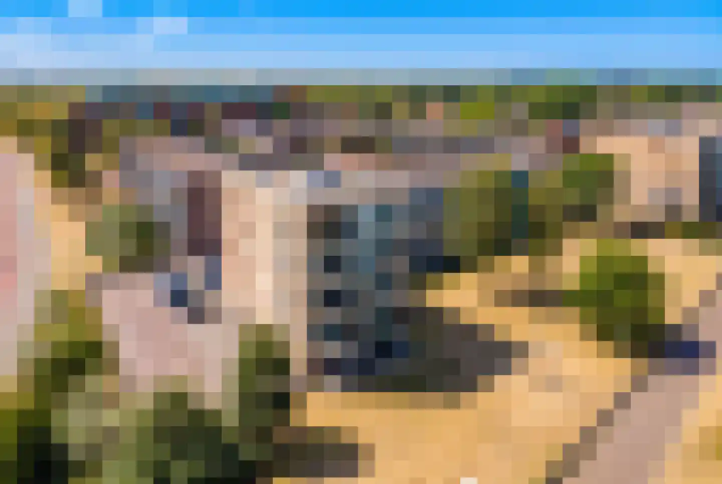 Kleine Pan 35 G IJmuiden thumbnail 38