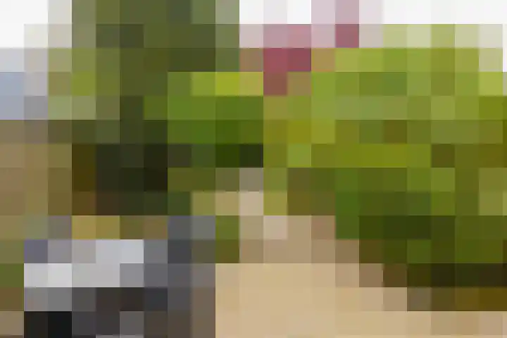 Kleine Pan 7 IJmuiden thumbnail 13