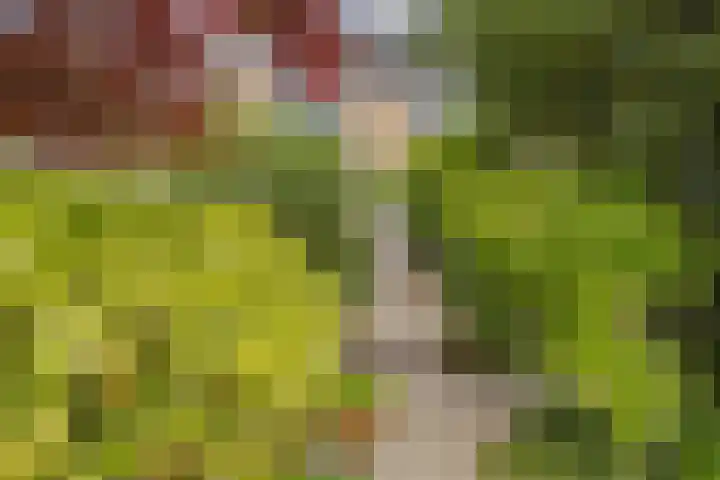 Kleine Pan 7 IJmuiden thumbnail 17