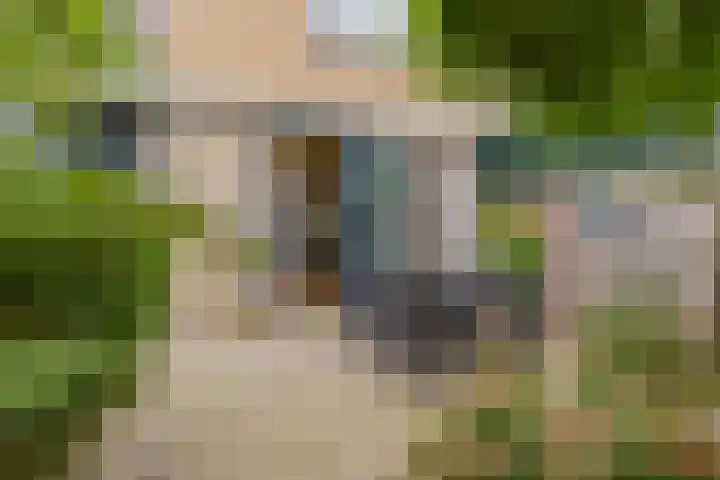 Kleine Pan 7 IJmuiden thumbnail 18