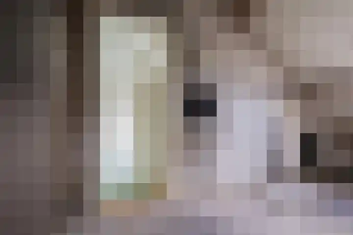 Kleine Pan 7 IJmuiden thumbnail 31