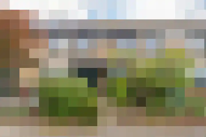 Kleine Pan 7 IJmuiden thumbnail 41