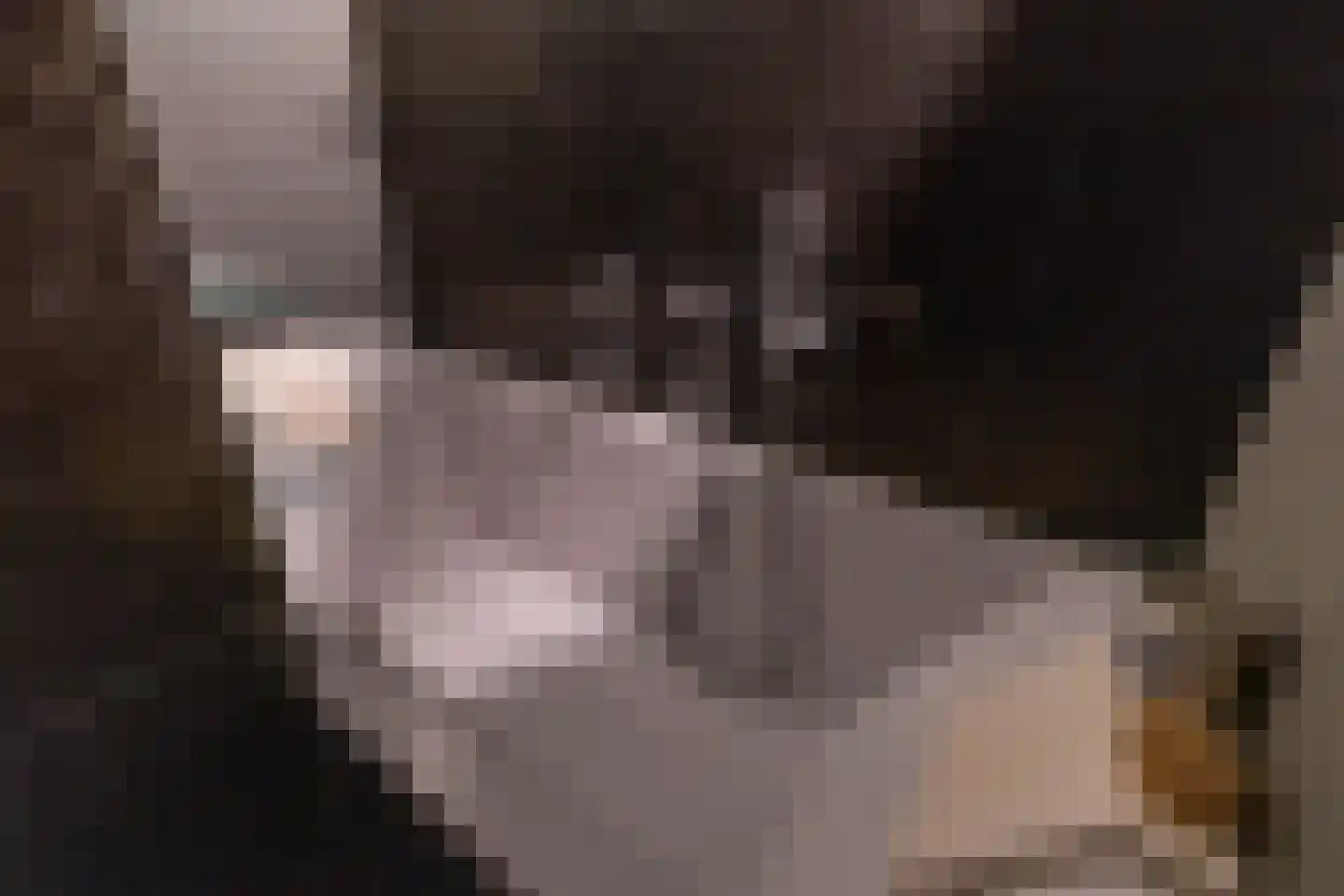 Kleine Peperstraat 8 Groningen thumbnail 11