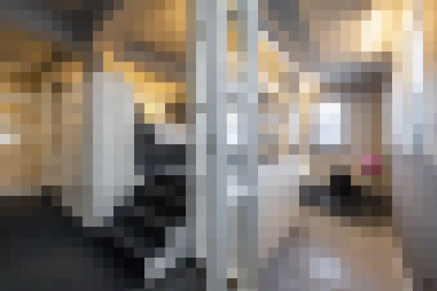 Kleine Peperstraat 8 Groningen thumbnail 15