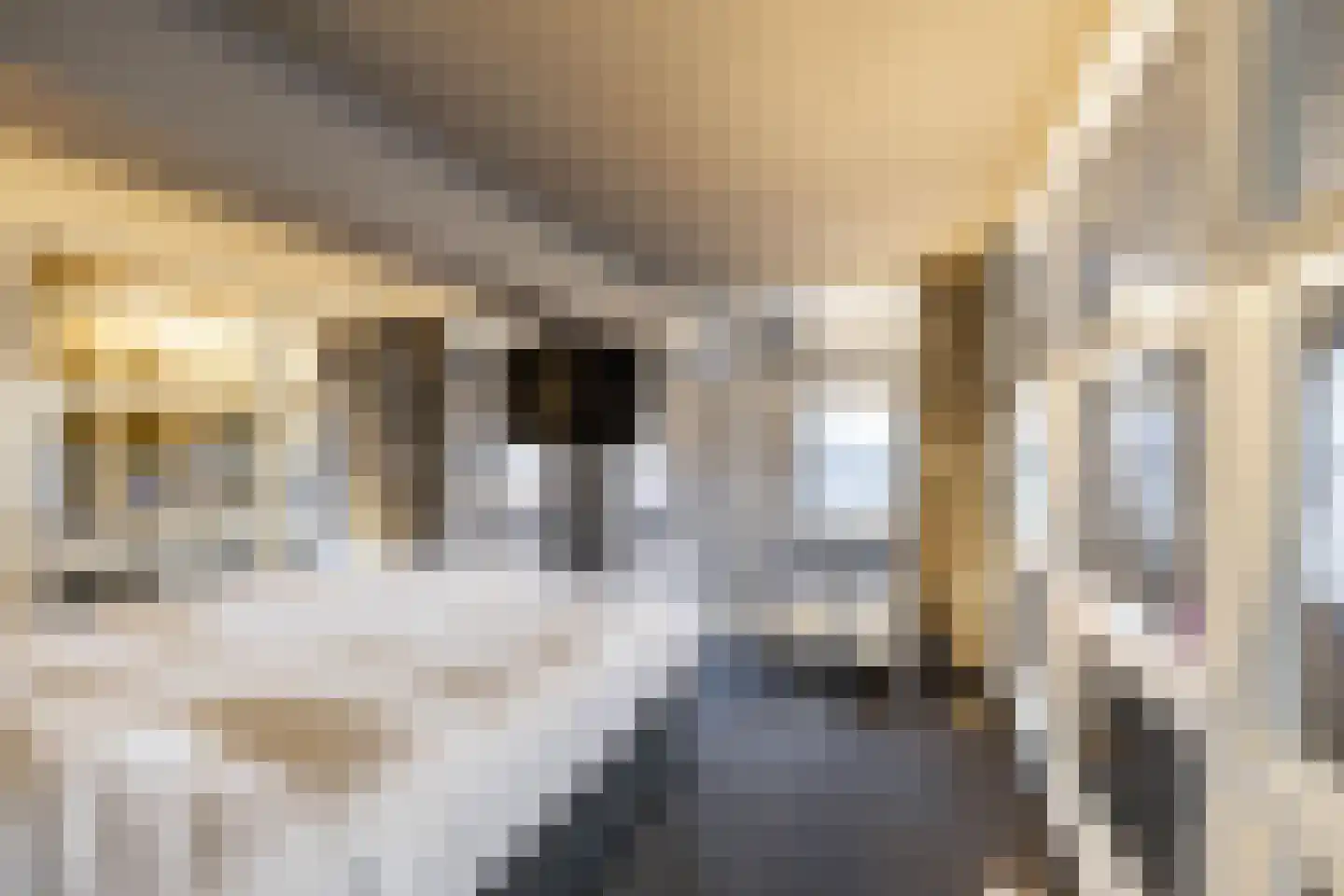 Kleine Peperstraat 8 Groningen thumbnail 17