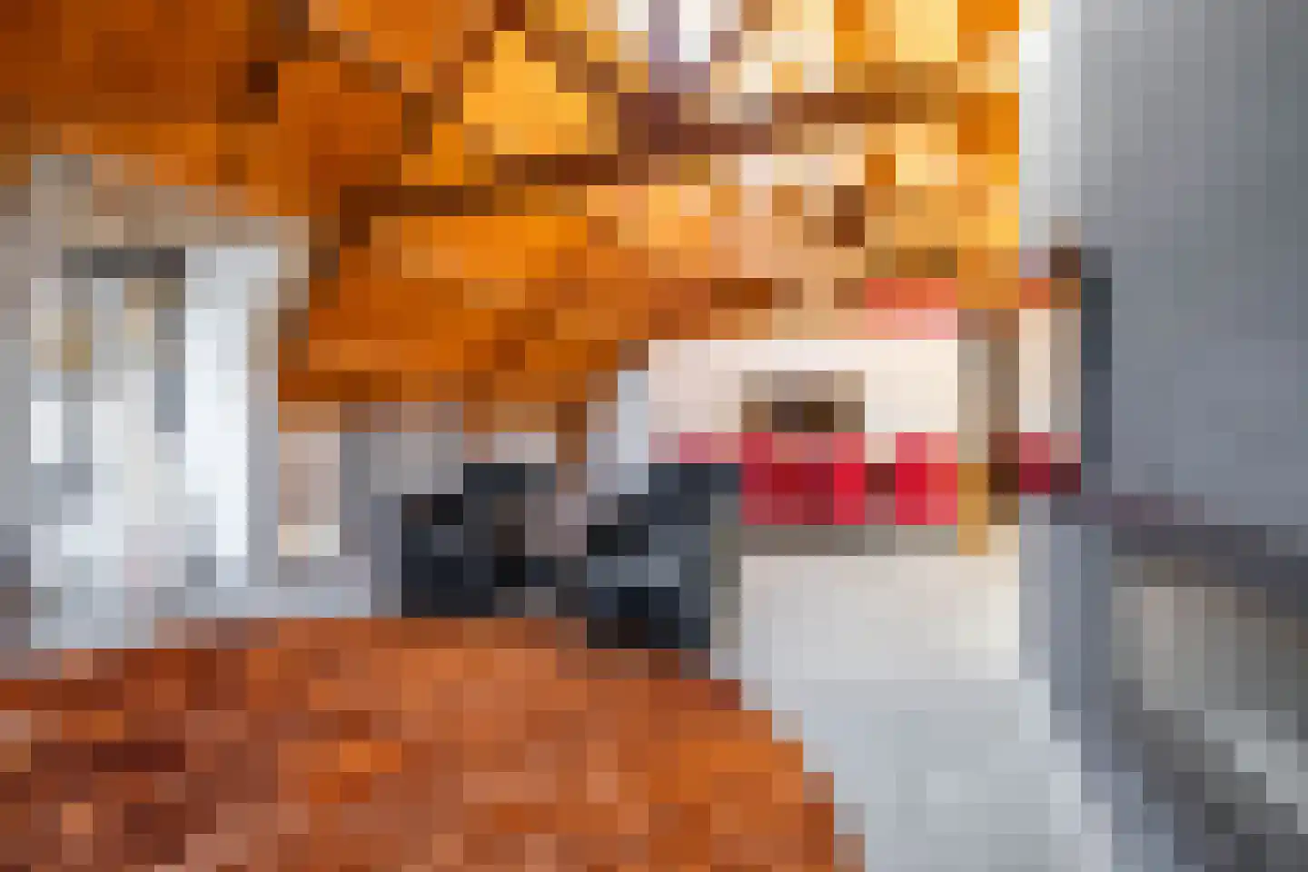 Kleine Peperstraat 8 Groningen thumbnail 36