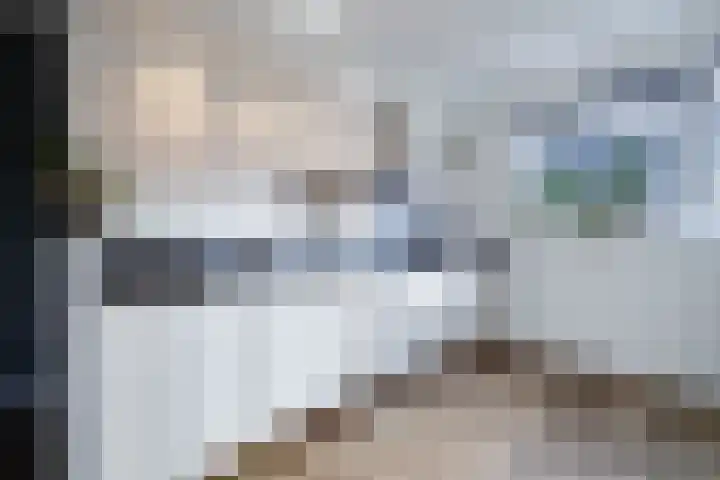 Kleine Pimpernel 7 Klarenbeek thumbnail 11