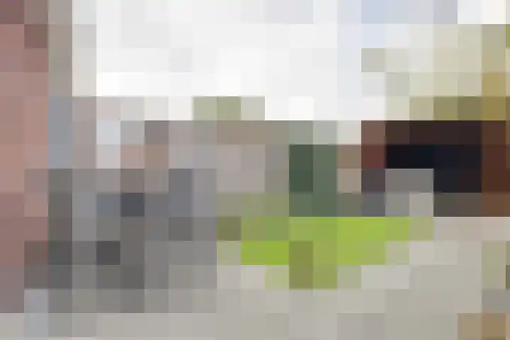 Kleine Pimpernel 7 Klarenbeek thumbnail 26