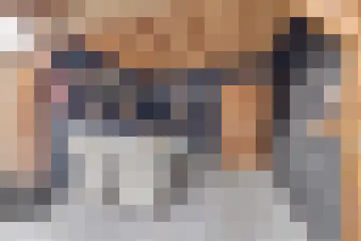 Kleine Pimpernel 7 Klarenbeek thumbnail 28