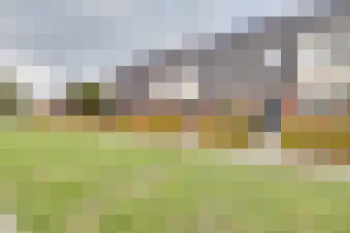 Kleine Pimpernel 7 Klarenbeek thumbnail 31