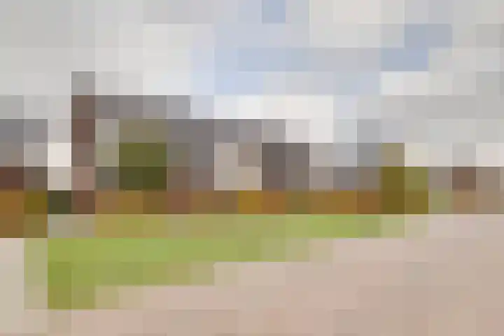 Kleine Pimpernel 7 Klarenbeek thumbnail 32