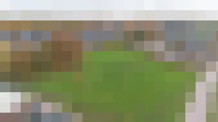 Kleine Pimpernel 7 Klarenbeek thumbnail 35