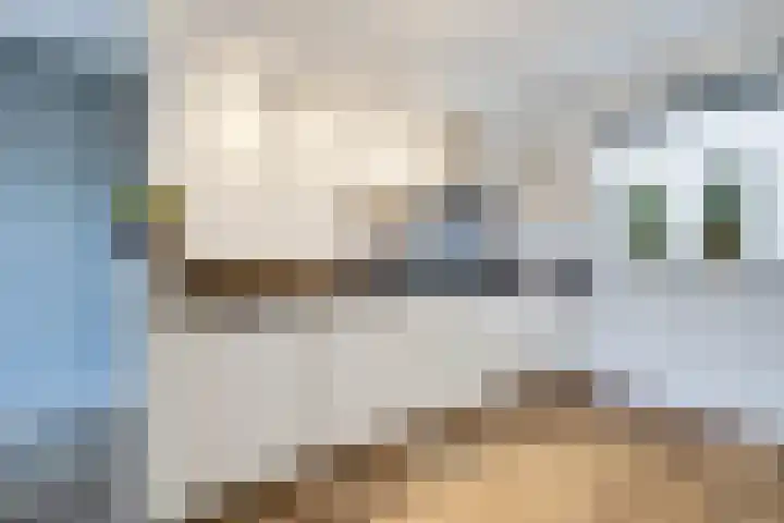 Kleine Pimpernel 7 Klarenbeek thumbnail 8