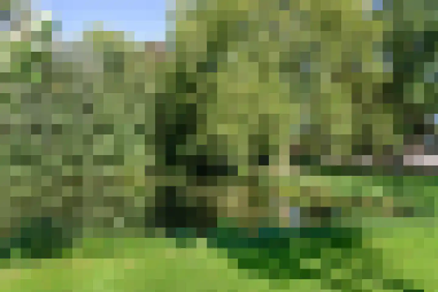 Kleine Plantage 3 Tiel thumbnail 10