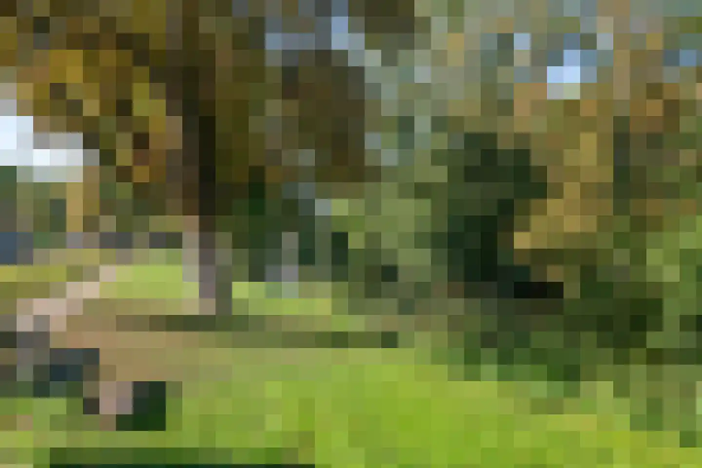 Kleine Plantage 3 Tiel thumbnail 11