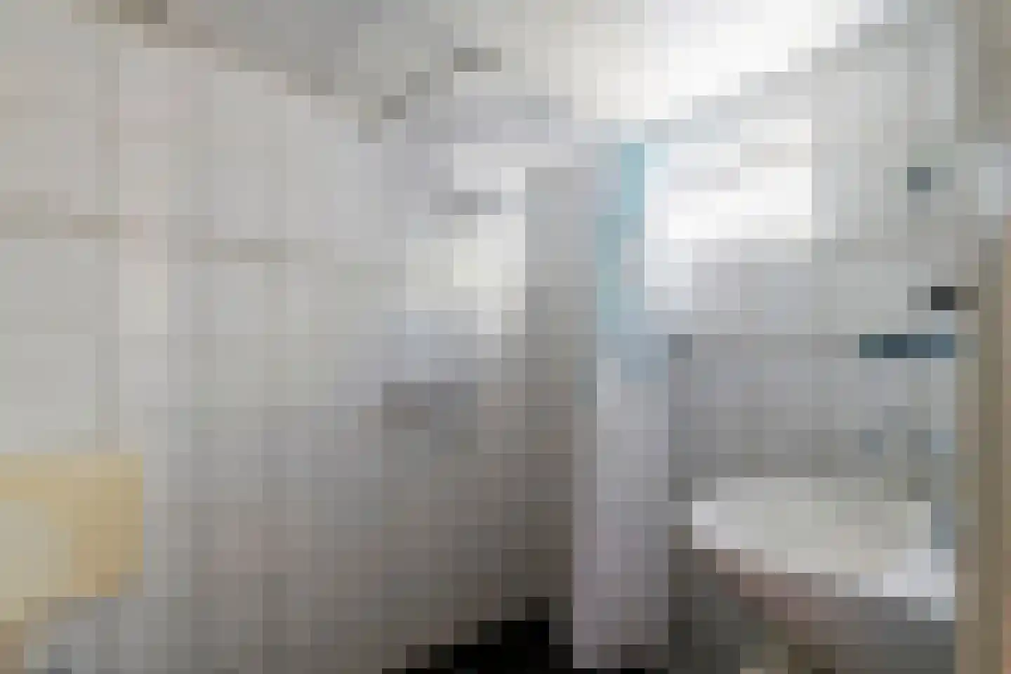Kleine Plantage 3 Tiel thumbnail 24
