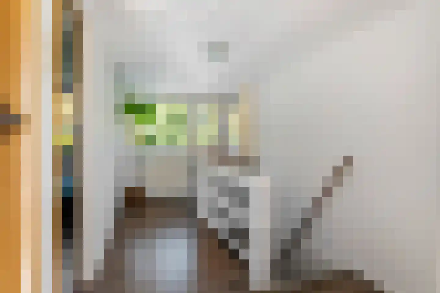 Kleine Plantage 3 Tiel thumbnail 27