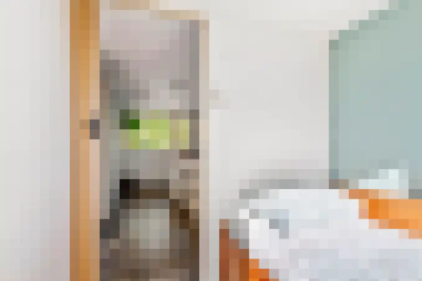 Kleine Plantage 3 Tiel thumbnail 35