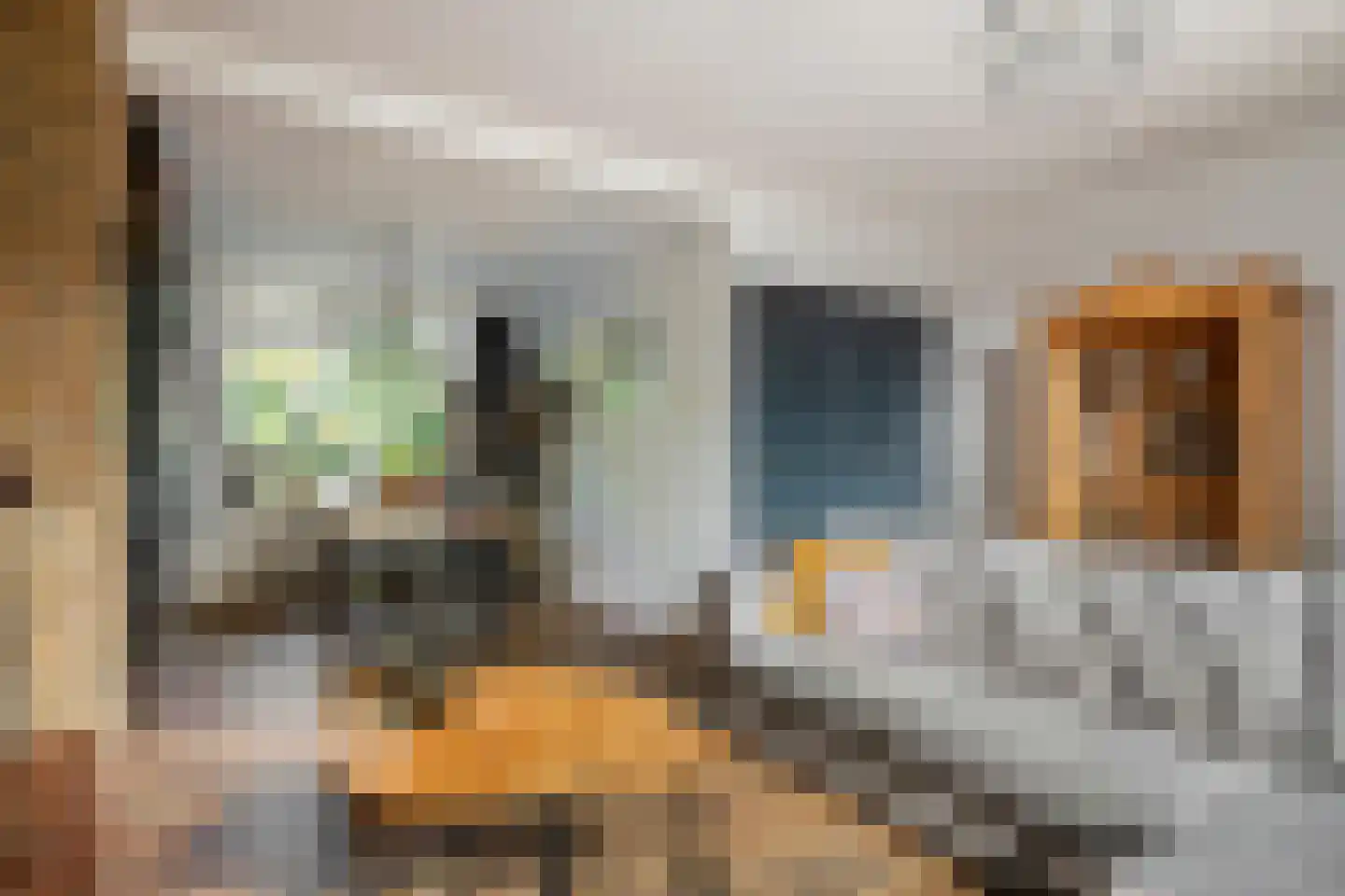 Kleine Plantage 3 Tiel thumbnail 4