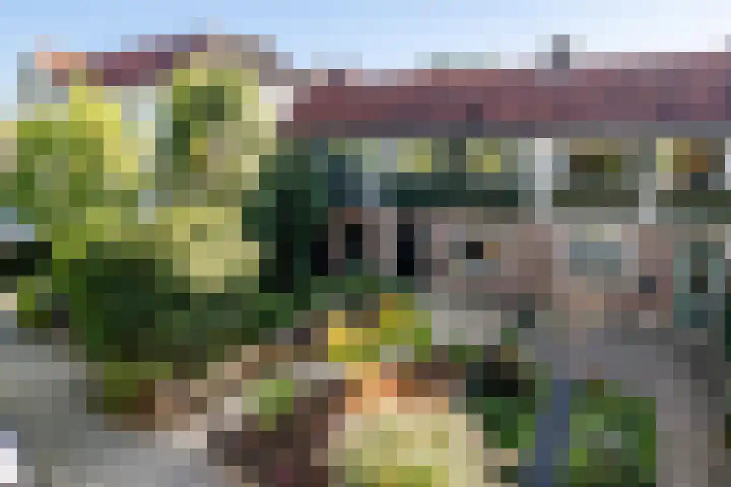 Kleine Plantage 3 Tiel thumbnail 41