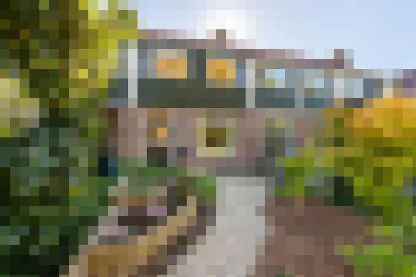 Kleine Plantage 3 Tiel thumbnail 42