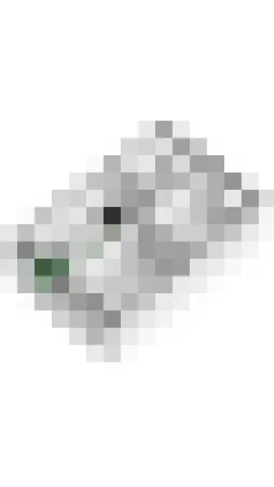Kleine Plantage 3 Tiel thumbnail 47
