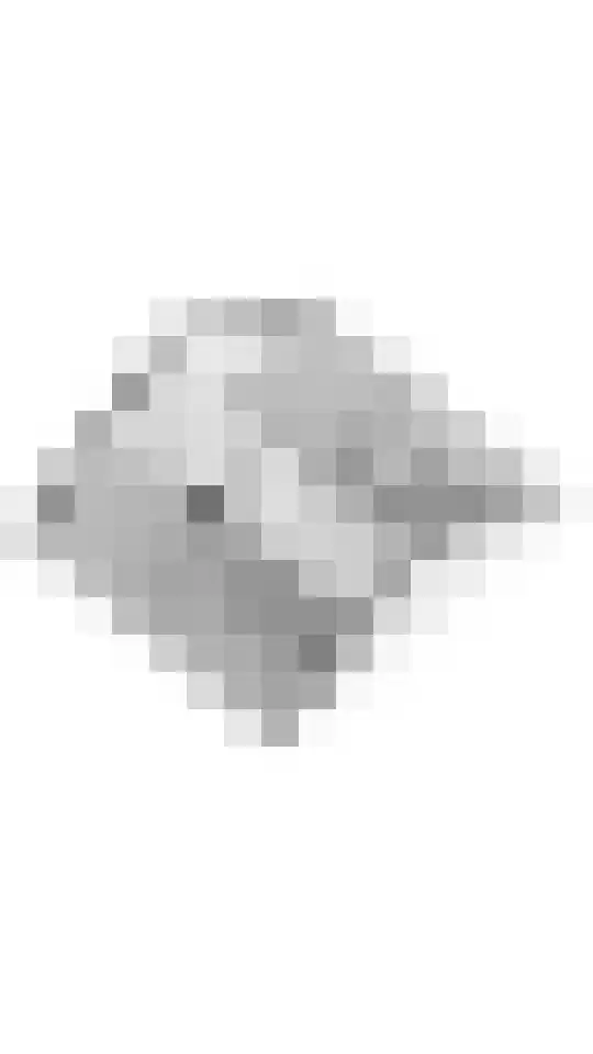 Kleine Plantage 3 Tiel thumbnail 49