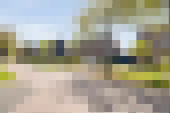 Kleine Pollen 18 Hardenberg thumbnail 10