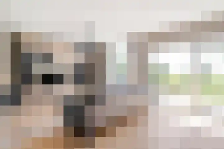 Kleine Pollen 18 Hardenberg thumbnail 16
