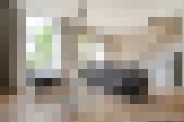 Kleine Pollen 18 Hardenberg thumbnail 18