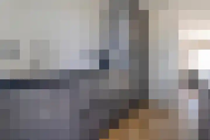 Kleine Pollen 18 Hardenberg thumbnail 23